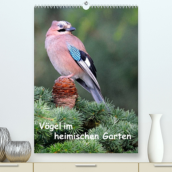 Vögel im heimischen Garten (Premium, hochwertiger DIN A2 Wandkalender 2023, Kunstdruck in Hochglanz), Dieter Wilczek
