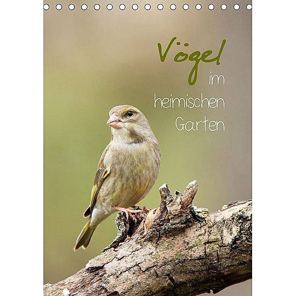 Vögel im heimischen Garten (Tischkalender 2021 DIN A5 hoch), Heidi Spiegler