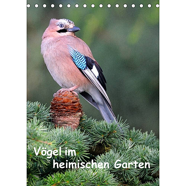 Vögel im heimischen Garten (Tischkalender 2023 DIN A5 hoch), Dieter Wilczek