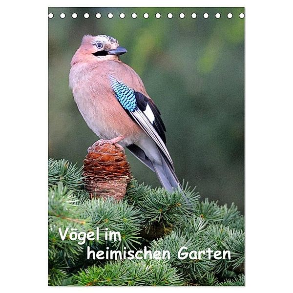 Vögel im heimischen Garten (Tischkalender 2024 DIN A5 hoch), CALVENDO Monatskalender, Dieter Wilczek