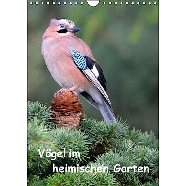 Vögel im heimischen Garten (Wandkalender 2016 DIN A4 hoch), Dieter-M. Wilczek