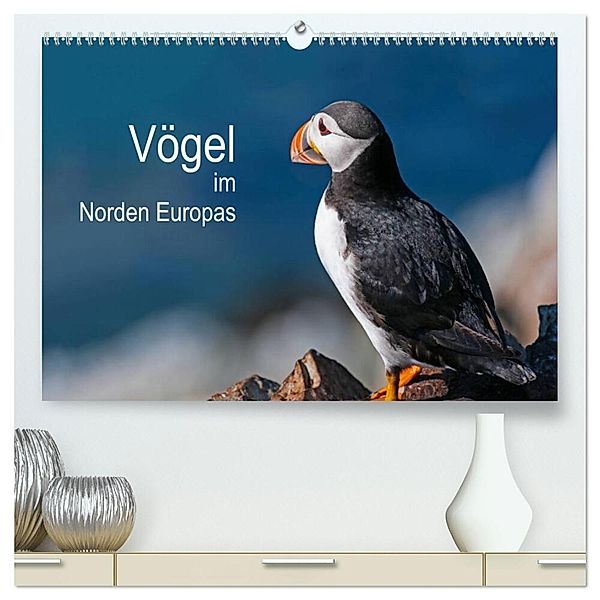 Vögel im Norden Europas (hochwertiger Premium Wandkalender 2025 DIN A2 quer), Kunstdruck in Hochglanz, Calvendo, Martin Thoma