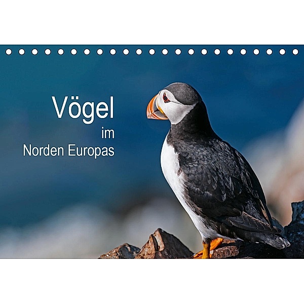 Vögel im Norden Europas (Tischkalender 2021 DIN A5 quer), Martin Thoma