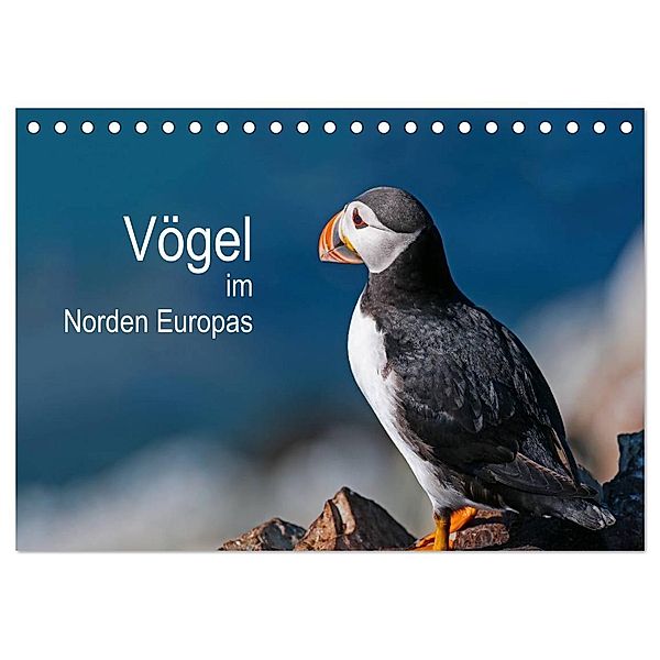 Vögel im Norden Europas (Tischkalender 2024 DIN A5 quer), CALVENDO Monatskalender, Martin Thoma