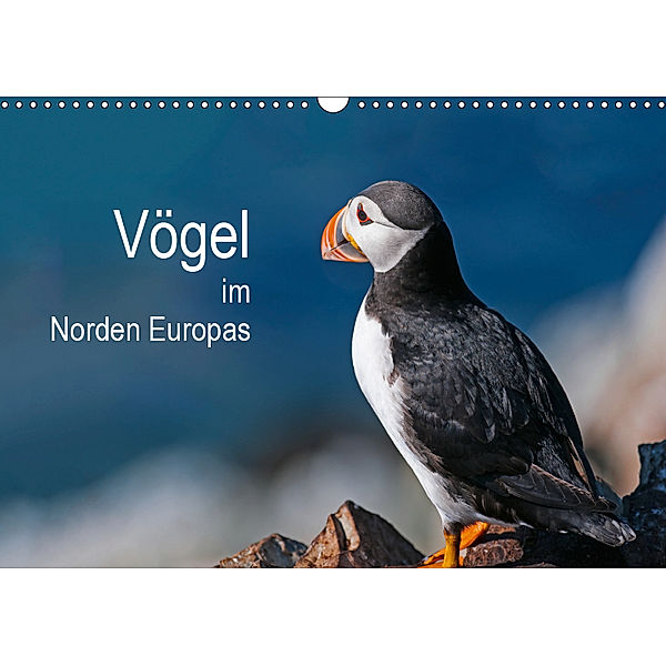 Vögel im Norden Europas (Wandkalender 2019 DIN A3 quer), Martin Thoma