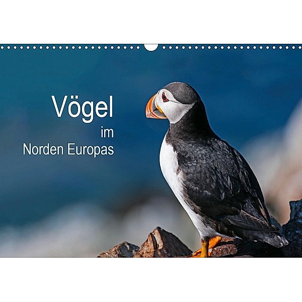 Vögel im Norden Europas (Wandkalender 2021 DIN A3 quer), Martin Thoma