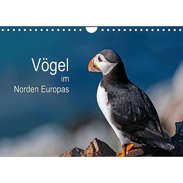 Vögel im Norden Europas (Wandkalender 2023 DIN A4 quer), Martin Thoma
