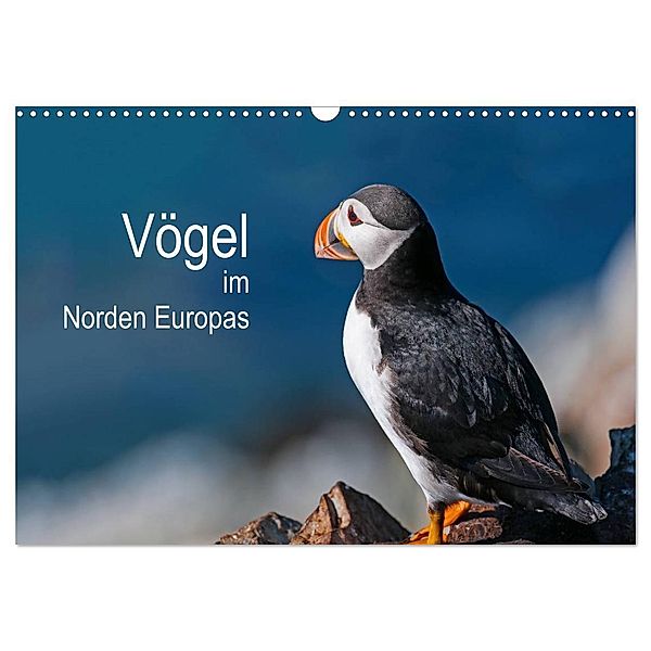 Vögel im Norden Europas (Wandkalender 2024 DIN A3 quer), CALVENDO Monatskalender, Martin Thoma