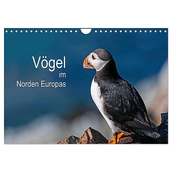 Vögel im Norden Europas (Wandkalender 2024 DIN A4 quer), CALVENDO Monatskalender, Martin Thoma