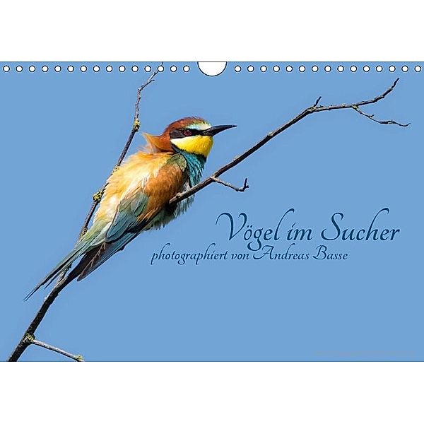 Vögel im Sucher (Wandkalender 2019 DIN A4 quer), Andreas Basse