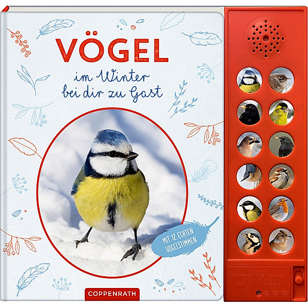 Vögel im Winter bei dir zu Gast, Bärbel Oftring