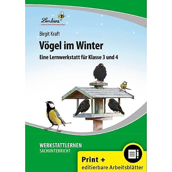 Vögel im Winter, m. 1 Beilage, Birgit Kraft