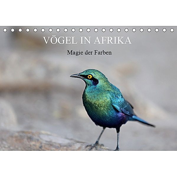 Vögel in Afrika - Magie der Farben (Tischkalender 2019 DIN A5 quer), Michael Herzog