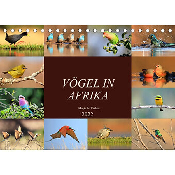 Vögel in Afrika - Magie der Farben (Tischkalender 2022 DIN A5 quer), Michael Herzog