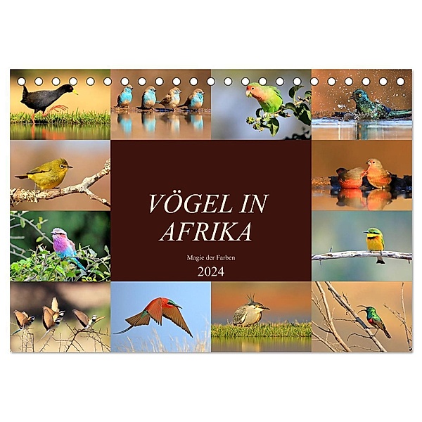 Vögel in Afrika - Magie der Farben (Tischkalender 2024 DIN A5 quer), CALVENDO Monatskalender, Michael Herzog