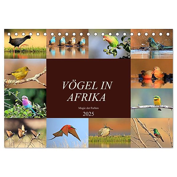 Vögel in Afrika - Magie der Farben (Tischkalender 2025 DIN A5 quer), CALVENDO Monatskalender, Calvendo, Michael Herzog