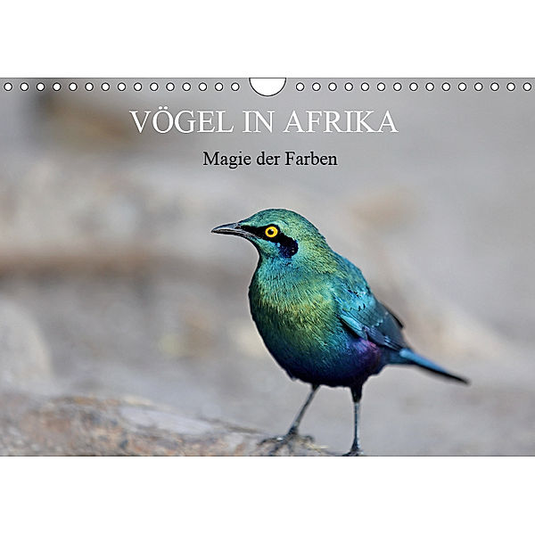 Vögel in Afrika - Magie der Farben (Wandkalender 2019 DIN A4 quer), Michael Herzog