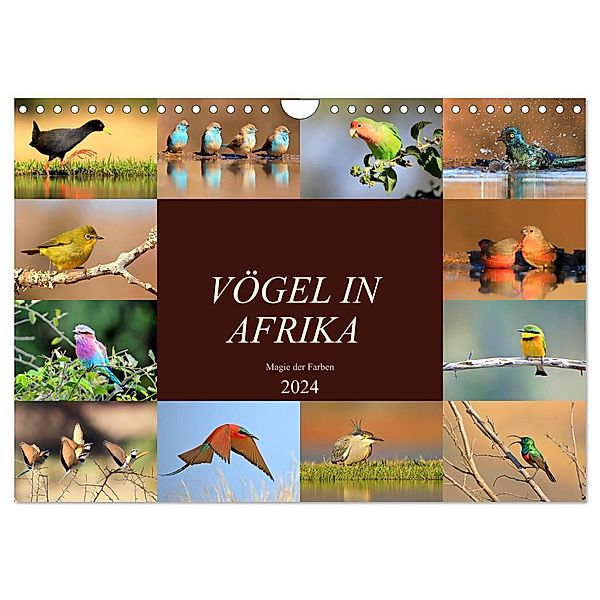 Vögel in Afrika - Magie der Farben (Wandkalender 2024 DIN A4 quer), CALVENDO Monatskalender, Michael Herzog