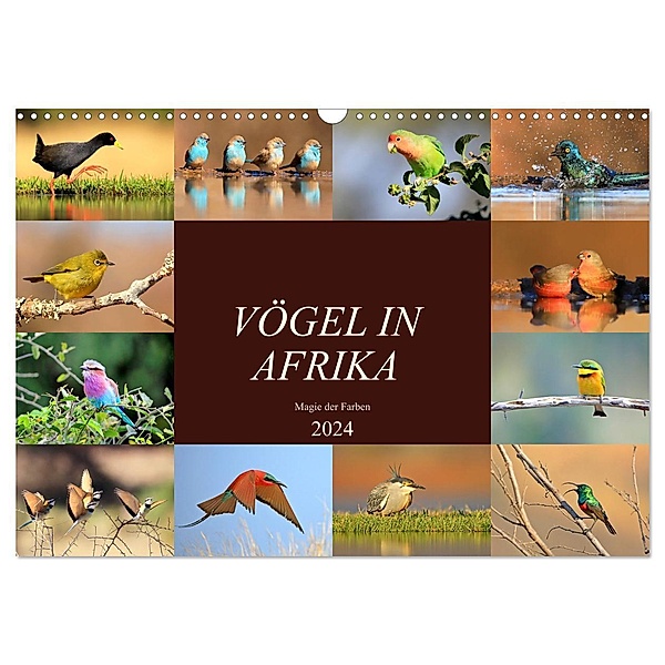 Vögel in Afrika - Magie der Farben (Wandkalender 2024 DIN A3 quer), CALVENDO Monatskalender, Michael Herzog