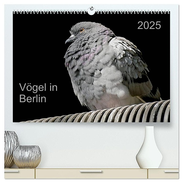 Vögel in Berlin (hochwertiger Premium Wandkalender 2025 DIN A2 quer), Kunstdruck in Hochglanz, Calvendo, Verena Mahrhofer
