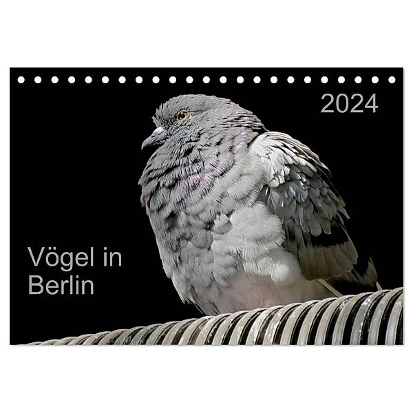 Vögel in Berlin (Tischkalender 2024 DIN A5 quer), CALVENDO Monatskalender, Verena Mahrhofer
