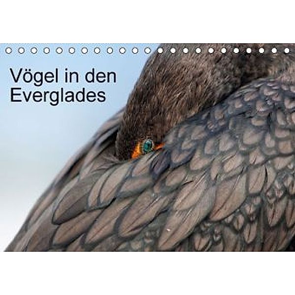 Vögel in den Everglades (Tischkalender 2016 DIN A5 quer), Willy Brüchle, Weiterstadt