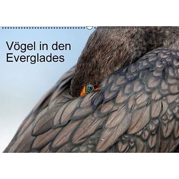 Vögel in den Everglades (Wandkalender 2016 DIN A2 quer), Willy Brüchle, Weiterstadt