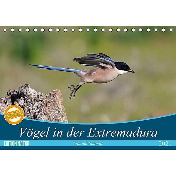 Vögel in der Extremadura (Tischkalender 2021 DIN A5 quer), Samuel Schmid, huttwil (schweiz)