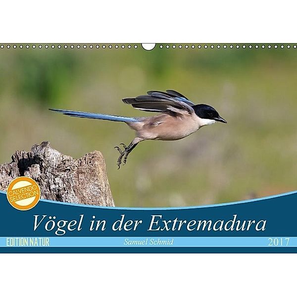 Vögel in der Extremadura (Wandkalender 2017 DIN A3 quer), Samuel Schmid