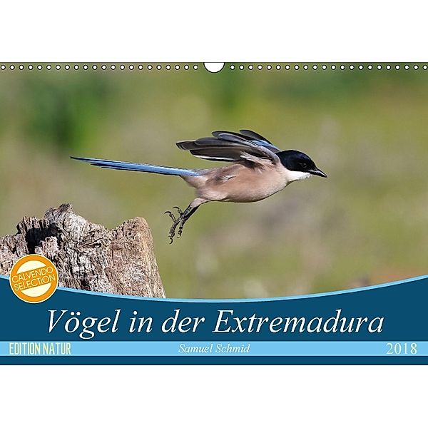 Vögel in der Extremadura (Wandkalender 2018 DIN A3 quer) Dieser erfolgreiche Kalender wurde dieses Jahr mit gleichen Bil, samuel schmid