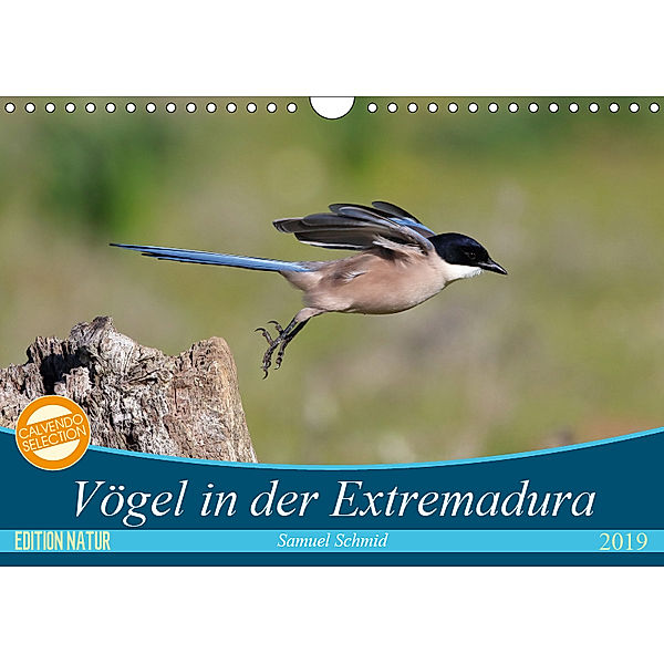 Vögel in der Extremadura (Wandkalender 2019 DIN A4 quer), Samuel Schmid