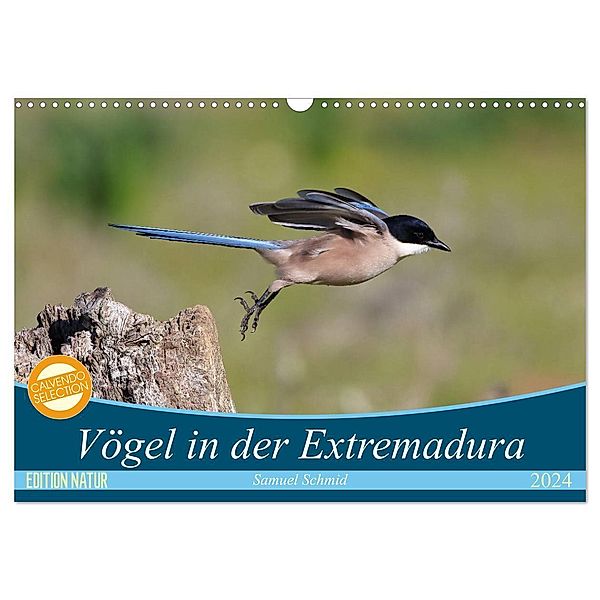Vögel in der Extremadura (Wandkalender 2024 DIN A3 quer), CALVENDO Monatskalender, huttwil (schweiz), samuel schmid