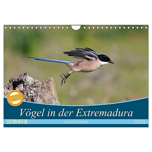 Vögel in der Extremadura (Wandkalender 2024 DIN A4 quer), CALVENDO Monatskalender, huttwil (schweiz), samuel schmid