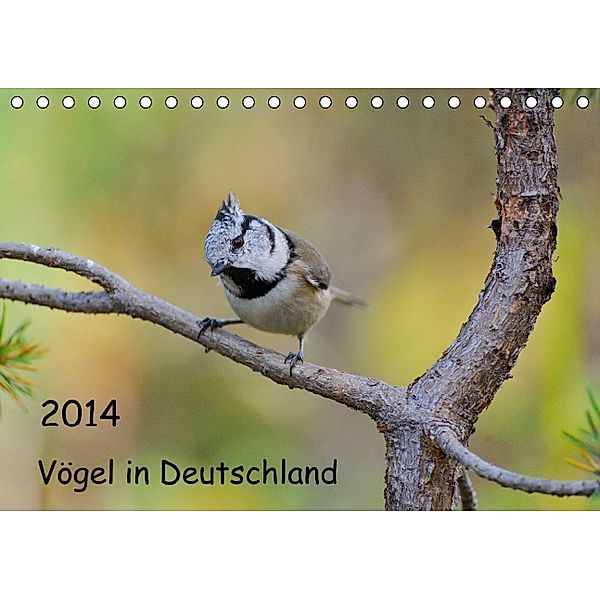 Vögel in Deutschland (Tischkalender 2014 DIN A5 quer), Karin Jähne
