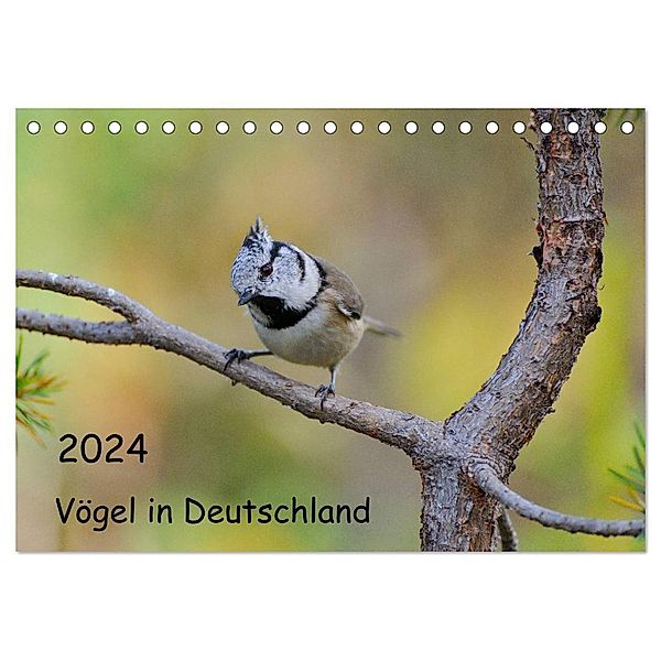 Vögel in Deutschland (Tischkalender 2024 DIN A5 quer), CALVENDO Monatskalender, Karin Jähne