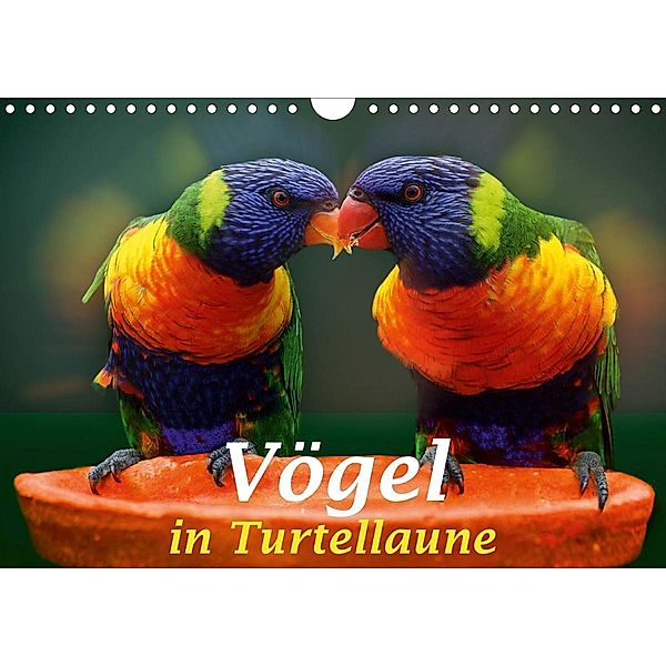 Vögel in Turtellaune (Wandkalender 2021 DIN A4 quer), Liselotte Brunner-Klaus