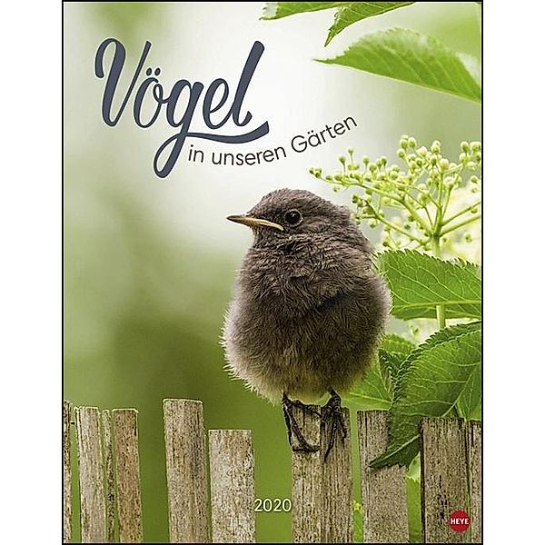 Vögel in unseren Gärten 2020