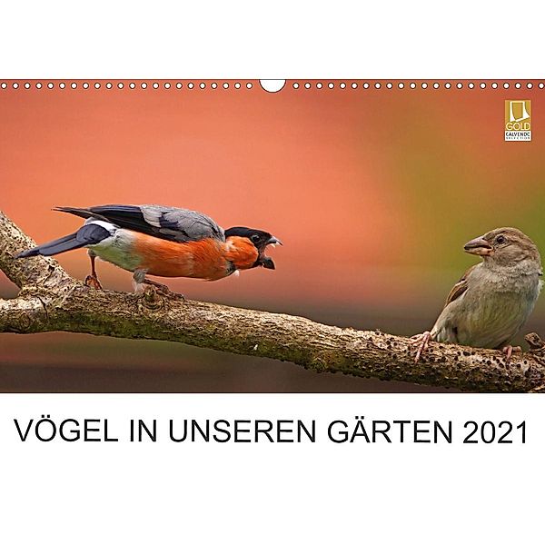 Vögel in unseren Gärten 2021 (Wandkalender 2021 DIN A3 quer), Lutz Klapp