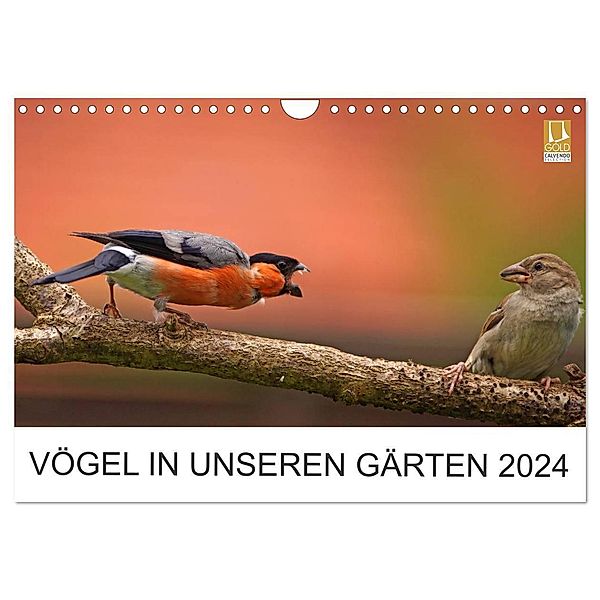 Vögel in unseren Gärten 2024 (Wandkalender 2024 DIN A4 quer), CALVENDO Monatskalender, Lutz Klapp