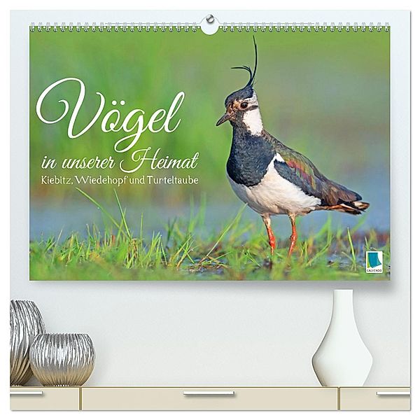 Vögel in unserer Heimat: Kiebitz, Wiedehopf und Turteltaube (hochwertiger Premium Wandkalender 2024 DIN A2 quer), Kunstdruck in Hochglanz, Calvendo