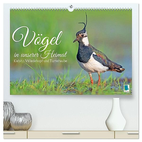 Vögel in unserer Heimat: Kiebitz, Wiedehopf und Turteltaube (hochwertiger Premium Wandkalender 2025 DIN A2 quer), Kunstdruck in Hochglanz, Calvendo