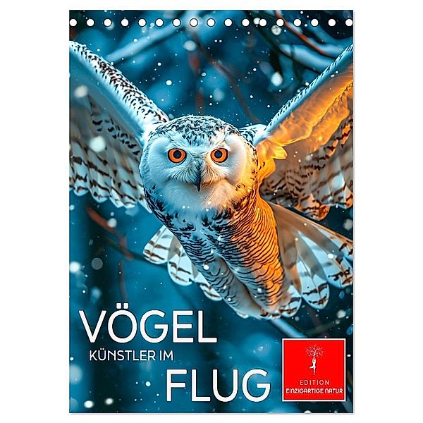 Vögel - Künstler im Flug (Tischkalender 2025 DIN A5 hoch), CALVENDO Monatskalender, Calvendo, Peter Roder