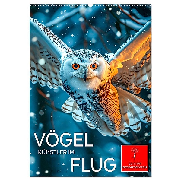 Vögel - Künstler im Flug (Wandkalender 2025 DIN A2 hoch), CALVENDO Monatskalender, Calvendo, Peter Roder