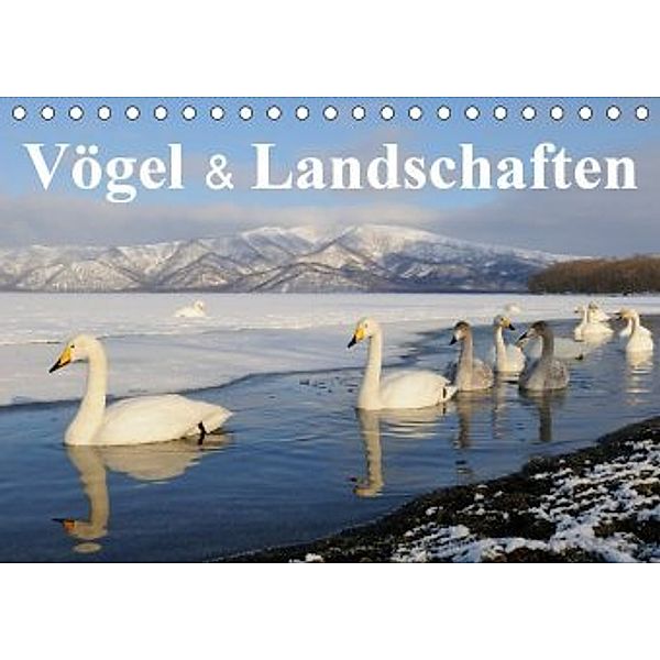 Vögel & Landschaften (Tischkalender 2020 DIN A5 quer)