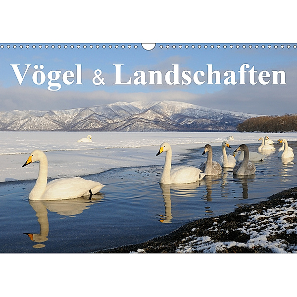Vögel & Landschaften (Wandkalender 2020 DIN A3 quer)