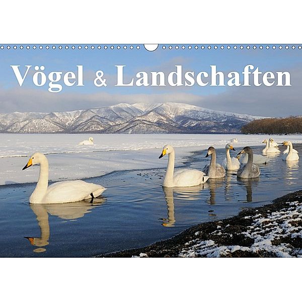 Vögel & Landschaften (Wandkalender 2021 DIN A3 quer), Birdimagency.com