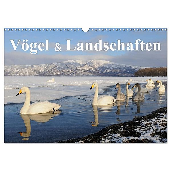 Vögel & Landschaften (Wandkalender 2024 DIN A3 quer), CALVENDO Monatskalender, Birdimagency.com