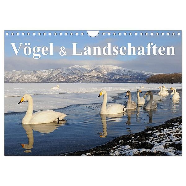 Vögel & Landschaften (Wandkalender 2024 DIN A4 quer), CALVENDO Monatskalender, Birdimagency.com