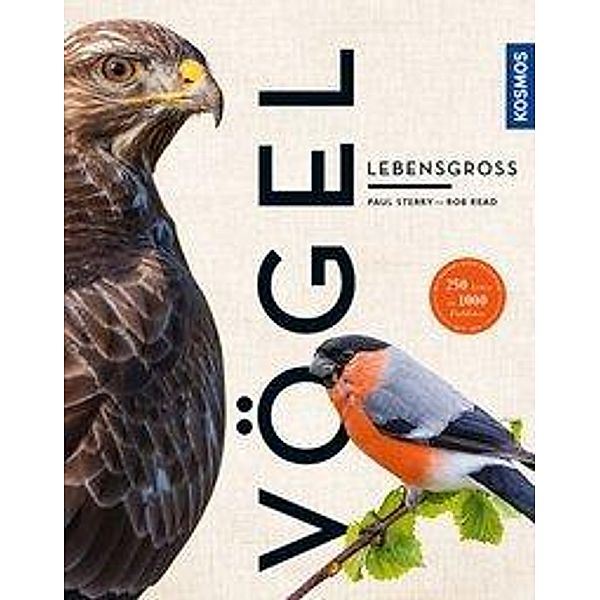 Vögel lebensgroß, Paul Sterry, Rob Read