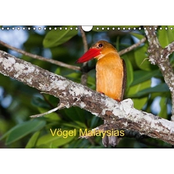Vögel Malaysias - Birds of Malaysia (Wandkalender 2015 DIN A4 quer), Ralf D. Weinand